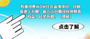 有道词典WOW社区蓝海项目，目前高速上升期，新人小白都可以换取高收益！赶紧布局！【揭秘】-大东资源库