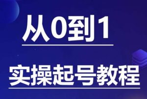 石野·小白起号实操教程，​掌握各种起号的玩法技术，了解流量的核心-大东资源库