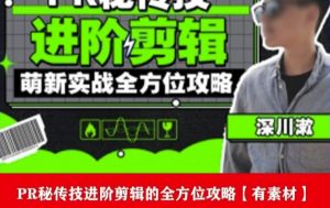 PR进阶剪辑培训班，让你快速成为剪辑大师12节视频课程+素材！-大东资源库