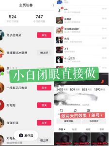 一天做完别一辈子的视频制作最近很火的《1000个野路子信息差》100%过原创【揭秘】-大东资源库