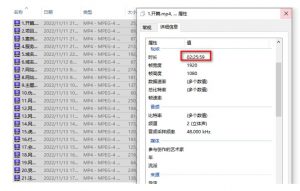 虚拟资源全自动成交系统，从0到1保姆级详细教程-大东资源库
