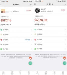 闲鱼流量掘金-虚拟变现新玩法配合全网项目库，精准引流变现3W+-大东资源库