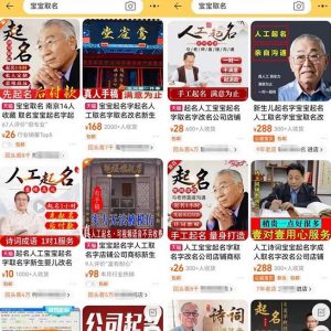 拆解小红书宝宝起名虚拟副业项目，一条龙实操玩法分享给你（教程+软件）-大东资源库