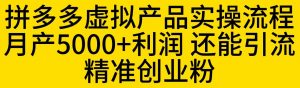拼多多虚拟产品实操流程，月产5000+利润，还能引流精准创业粉【揭秘】-大东资源库