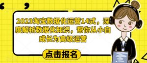 2023淘宝数据化运营14式，深度解析数据化知识，帮你从小白成长为高级运营-大东资源库
