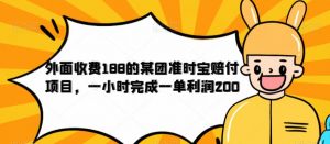 外面收费188的美团准时宝赔付项目，一小时完成一单利润200【仅揭秘】-大东资源库