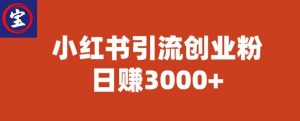 宝哥小红书引流创业粉，日赚3000+【揭秘】-大东资源库