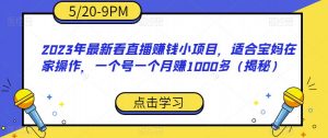 2023年最新看直播赚钱小项目，适合宝妈在家操作，一个号一个月赚1000多（揭秘）-大东资源库