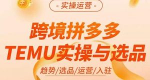 伍跃·跨境拼多多TEMU实操与选品，​趋势/选品/运营/入住（27节完整）-大东资源库
