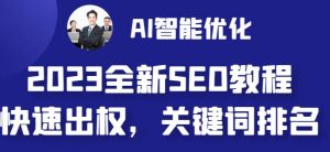 2023最新网站AI智能优化SEO教程，简单快速出权重，AI自动写文章+AI绘画配图-大东资源库