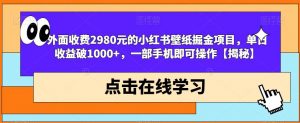 外面收费2980元的小红书壁纸掘金项目，单日收益破1000+，一部手机即可操作【揭秘】-大东资源库