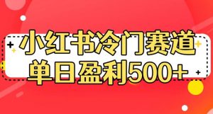 小红书冷门赛道，单日盈利500+【揭秘】-大东资源库
