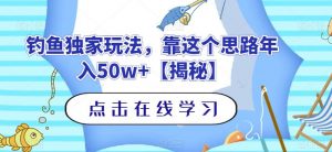 钓鱼独家玩法，靠这个思路年入50w+【揭秘】-大东资源库