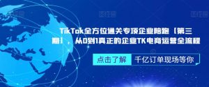 ‎TikTok全方位通关专项企业陪跑【第三期】，从0到1真正的企业TK电商运营全流程-大东资源库