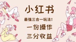 小红书最强三合一玩法，一份操作获得三份收益！【揭秘】-大东资源库