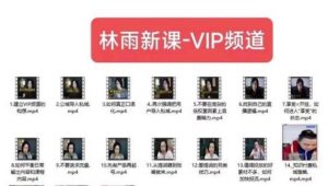 林雨新课VIP频道，玩赚私域/朋友圈/社群-大东资源库