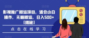 影视推广搬运项目，适合小白操作，无脑搬运，日入500+【揭秘】-大东资源库