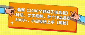最新《1000个野路子信息差》玩法，文字视频，单个作品暴粉5000+，小白轻松上手【揭秘】-大东资源库