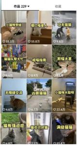 拆解：抖音盘点类中视频变现副业项目，视频版一条龙大解析分享给你-大东资源库