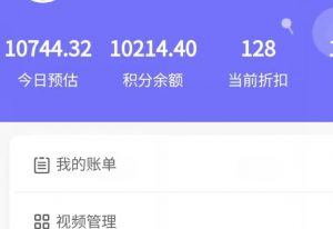 新手也能日入几百的冷门DIY项目，0基础全程实操【揭秘】-大东资源库