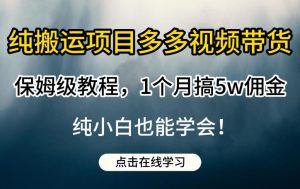 纯搬运项目多多视频带货保姆级教程，1个月搞5w佣金，纯小白也能学会【揭秘】-大东资源库