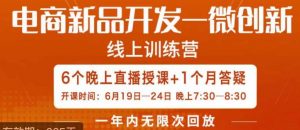 南掌柜·电商新品开发——微创新，电商新品微创新是你企业发展的护城河-大东资源库