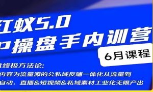 红蚁5.0IP操盘手内训营，IP操盘终极方法论-大东资源库