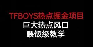 TFBOYS热点掘金项目，巨大热点风口，喂饭级教学-大东资源库