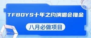 最新蓝海项目，靠最近非常火的TFBOYS十年之约演唱会流量掘金，八月必做的项目【揭秘】-大东资源库