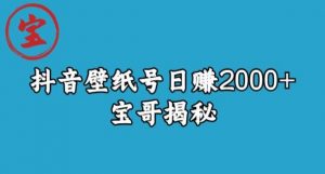 宝哥抖音壁纸号日赚2000+，不需要真人露脸就能操作【揭秘】-大东资源库