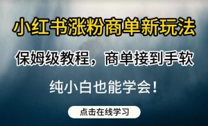 小红书涨粉商单新玩法，保姆级教程，商单接到手软，纯小白也能学会【揭秘】-大东资源库