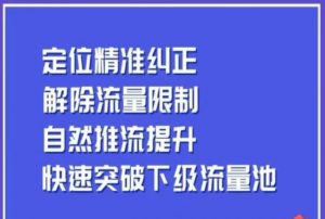 同城账号付费投放运营优化提升，​定位精准纠正，解除流量限制，自然推流提升，极速突破下级流量池-大东资源库