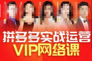 推易拼多多VIP全套直播课程，拼多多店铺实操玩法+实战玩法选款内功+直通车高阶等-大东资源库