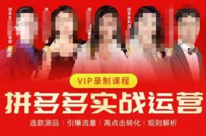 2023推易拼多多实战运营，选款测品、引爆流量、高点击转化、规则解析-大东资源库