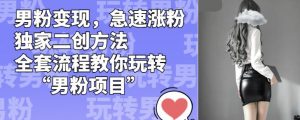 男粉变现，急速涨粉独家二创方法，全套流程教你玩转“男粉项目”【揭秘】-大东资源库