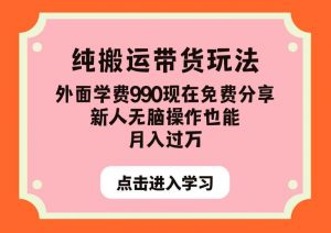 纯搬运带货玩法，外面学费990现在免费分享，新人无脑操作也能月入过万【揭秘】-大东资源库