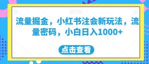 流量掘金，小红书注会新玩法，流量密码，小白日入1000+【揭秘】-大东资源库