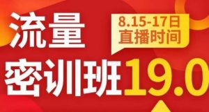 秋秋线上流量密训班19.0，打通流量关卡，线上也能实战流量破局-大东资源库