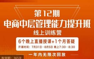 陈少珊·电商中层管理能力提升班，学习对象-电商公司各个岗位的主管，20人人以内的电商公司老板-大东资源库