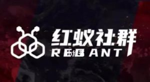 社群运营：红蚁社群【48节落地系统课程+2000人高端社群】-大东资源库