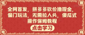 全网首发，拼多多砍价撸现金，偏门玩法，无需拉人头，傻瓜式操作保姆教程【揭秘】-大东资源库