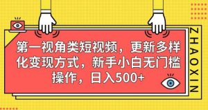 第一视角类短视频，更新多样化变现方式，新手小白无门槛操作，日入500+【揭秘】-大东资源库