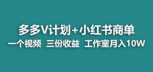 【蓝海项目】多多v计划+小红书商单一个视频三份收益工作室月入10w-大东资源库