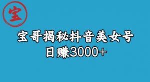 宝哥揭秘抖音美女号玩法，日赚3000+【揭秘】-大东资源库