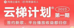 2023年8月份网易云最新独家挂机技术，真正实现挂机月入5000【揭秘】-大东资源库