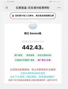 盲盒交友5.0，男粉变现实操项目，亲测变现效果极好【揭秘】-大东资源库