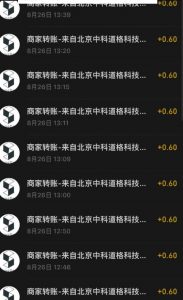 接码无限撸红包一分钟0.6无脑操作一天保底利润200-大东资源库