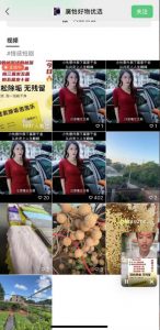 外面收费198的最新视频号连怼技术，条条原创，条条爆单【揭秘】-大东资源库