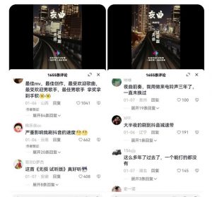 副业拆解：抖音杰伦音乐号涨粉变现项目，视频版一条龙实操玩法分享给你-大东资源库
