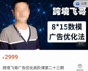 跨境飞哥·广告优化高阶课第二十三期，​8*15数模广告优化法，用数据驱动决策-大东资源库